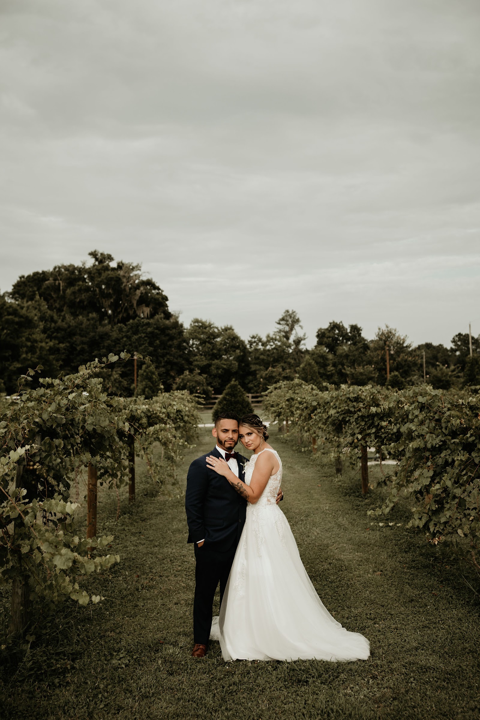 Tuscan Rose Vineyards