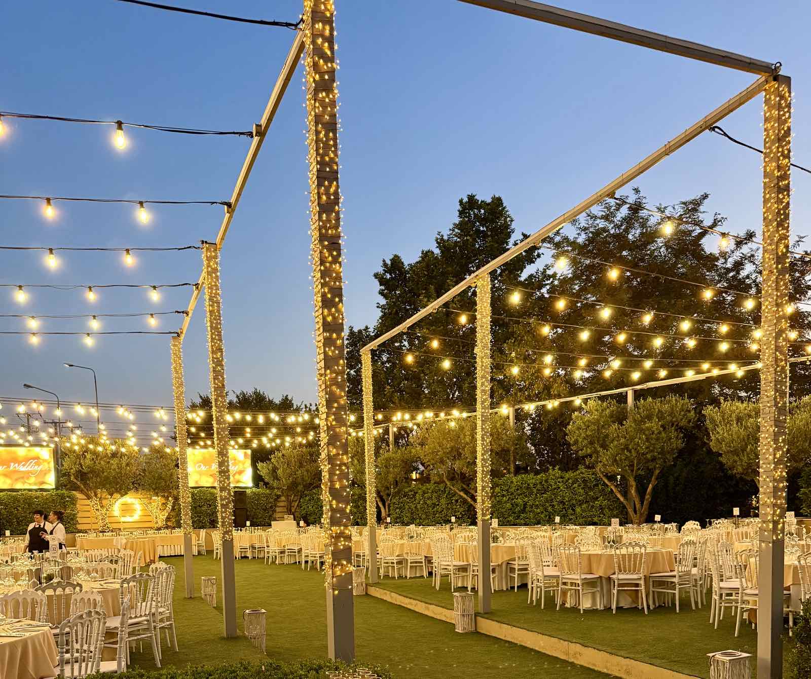 Wedding Story