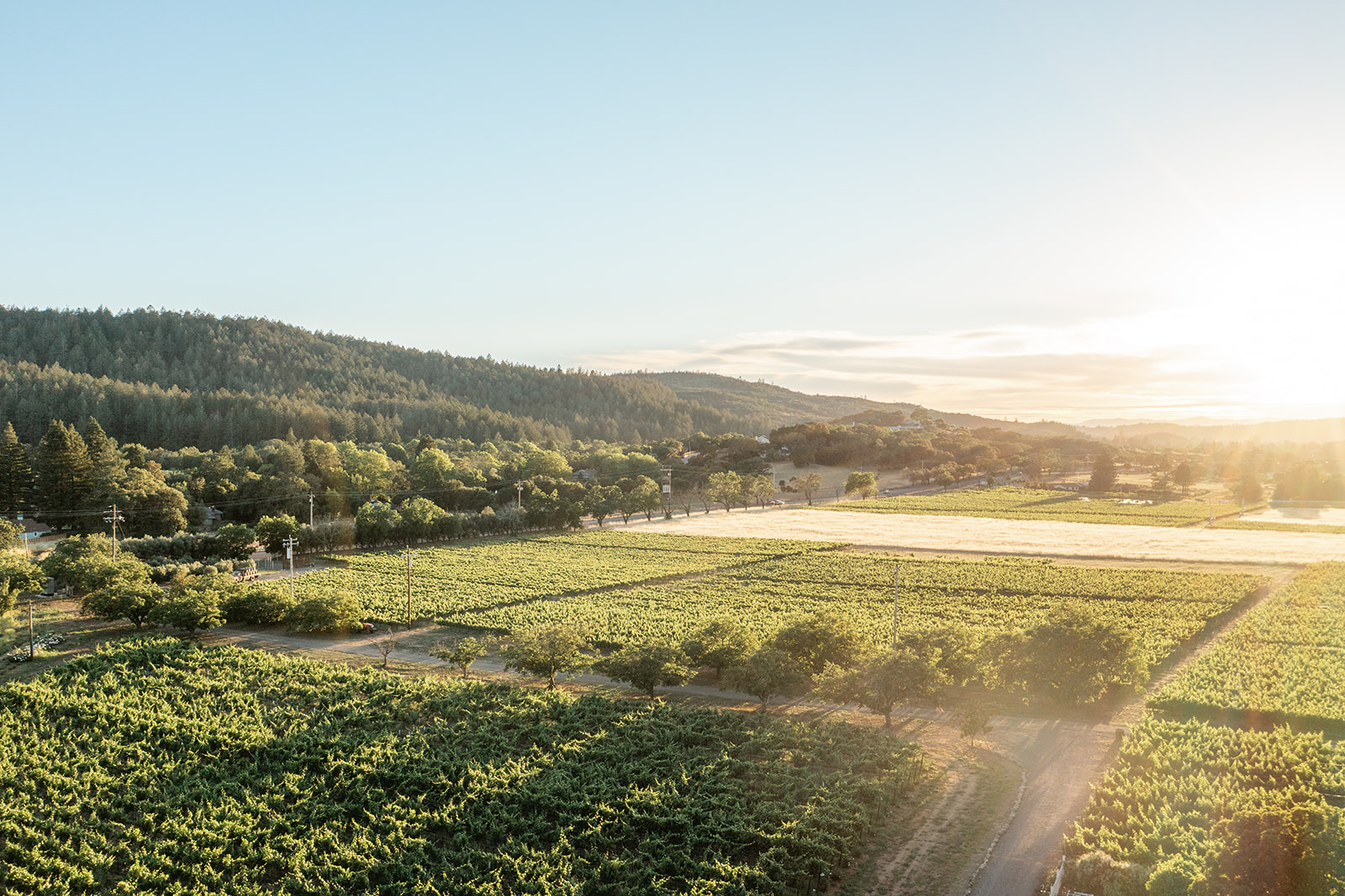 Annadel Estate Winery