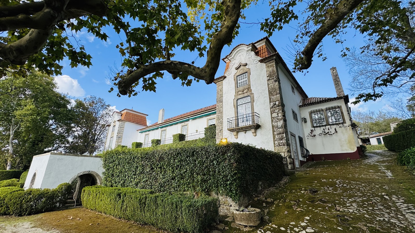 Quinta dos Plátanos