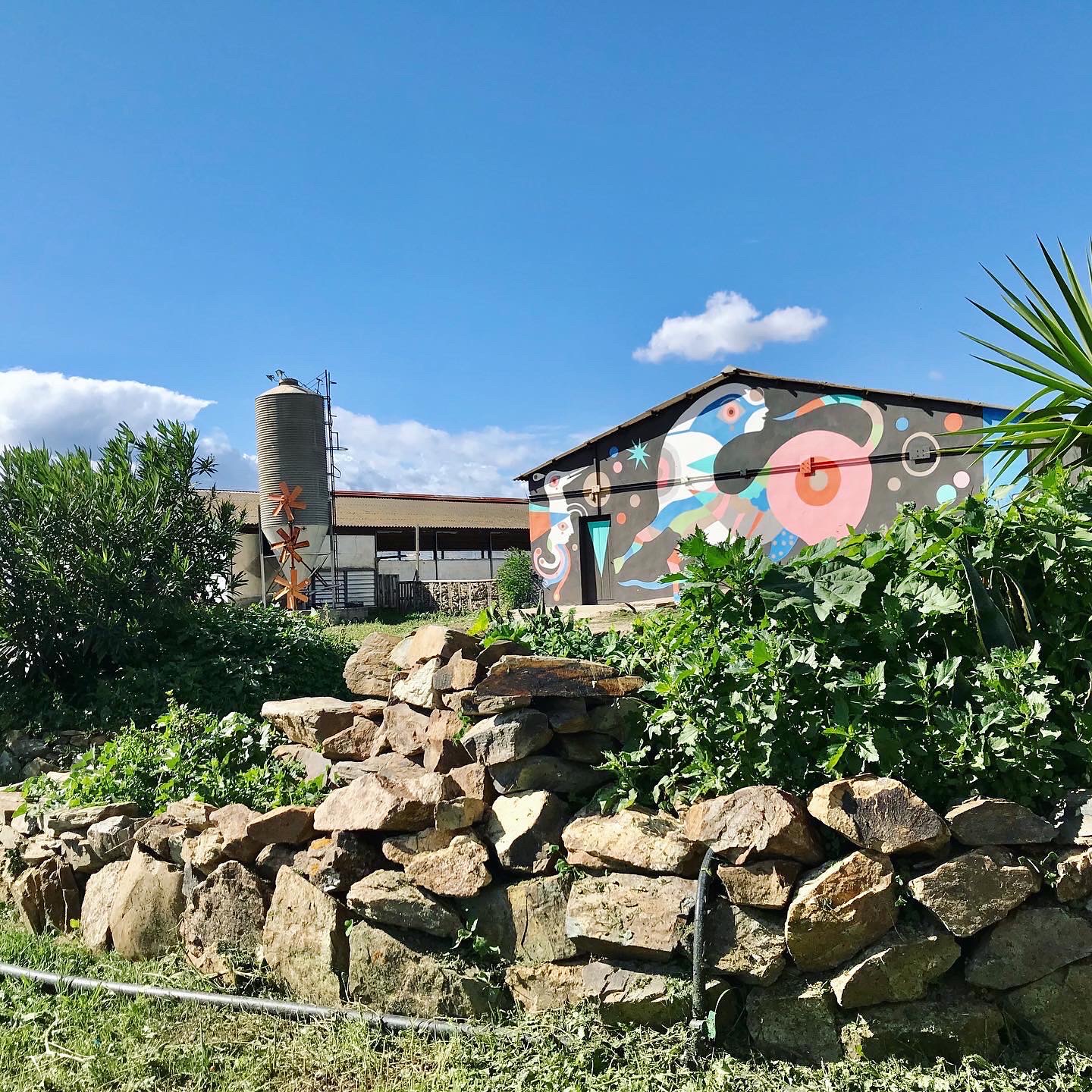 Agriturismo Campidarte