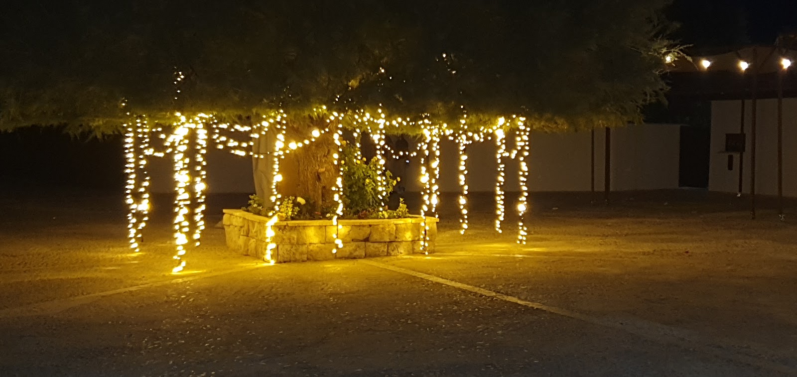 Finca Fuente Berrocal