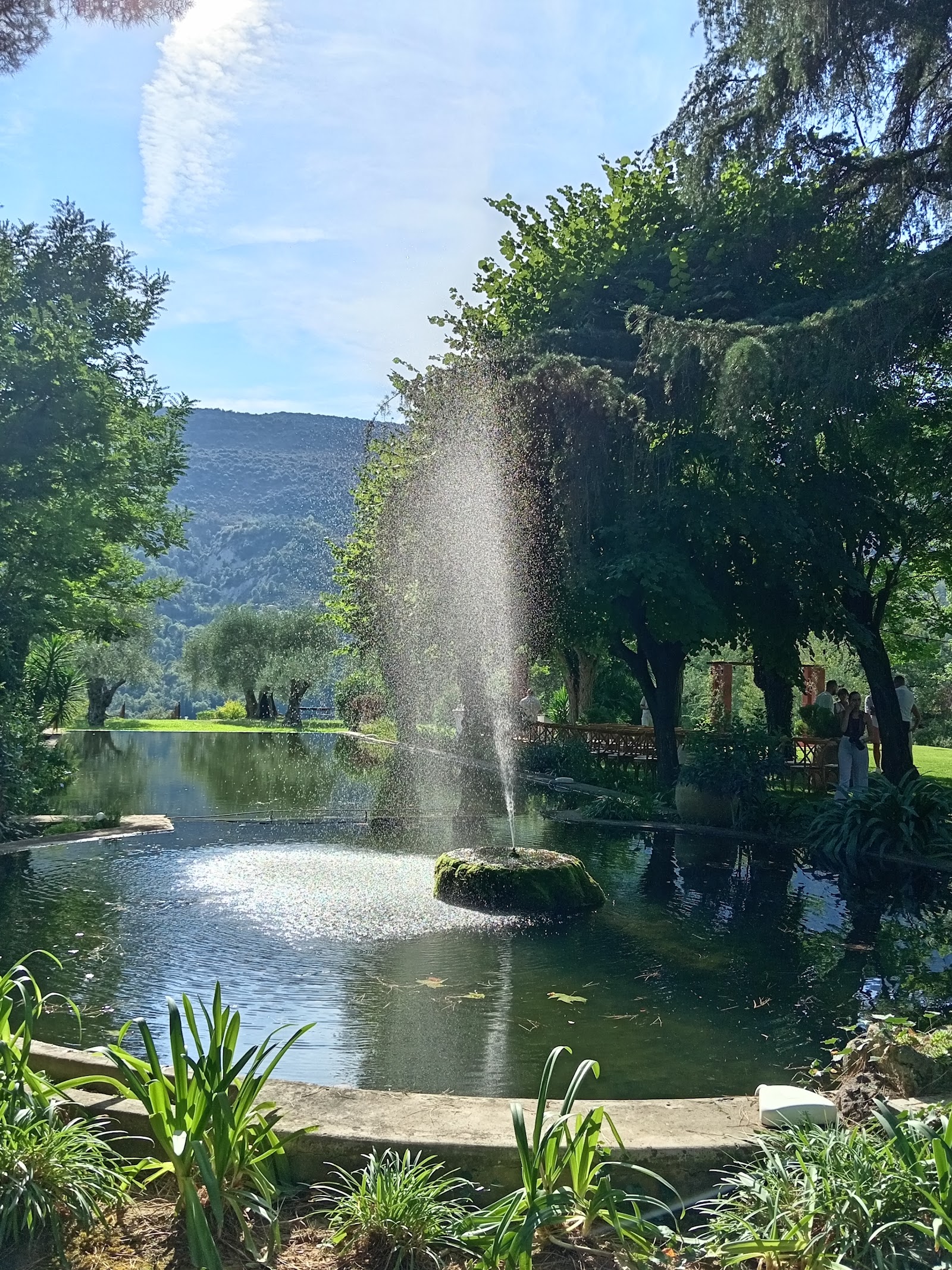 Domaine du Riodam