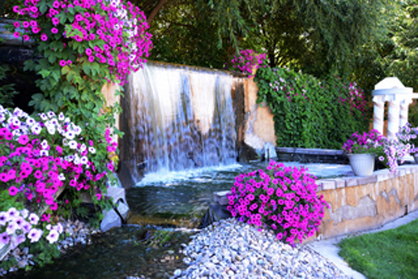Castle Vineyards by Meador