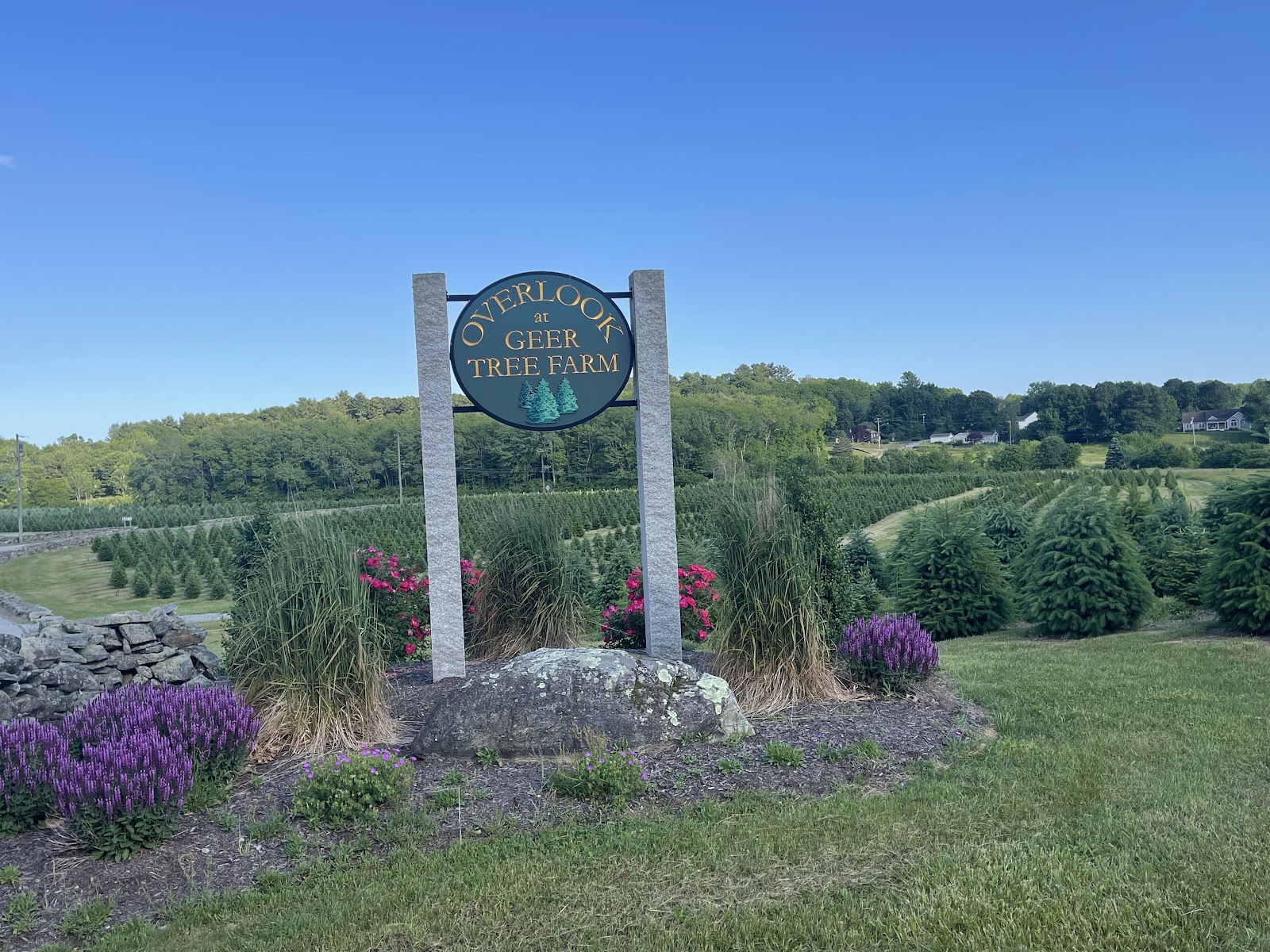 The Overlook At Geer Tree Farm