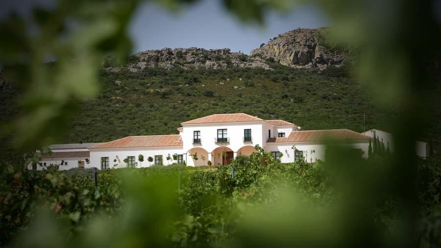 BODEGA VALDEALTO