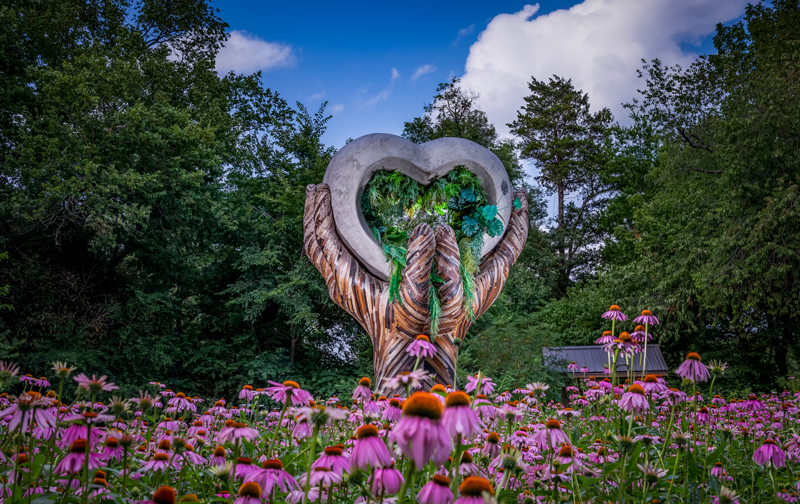 Compton Gardens & Arboretum