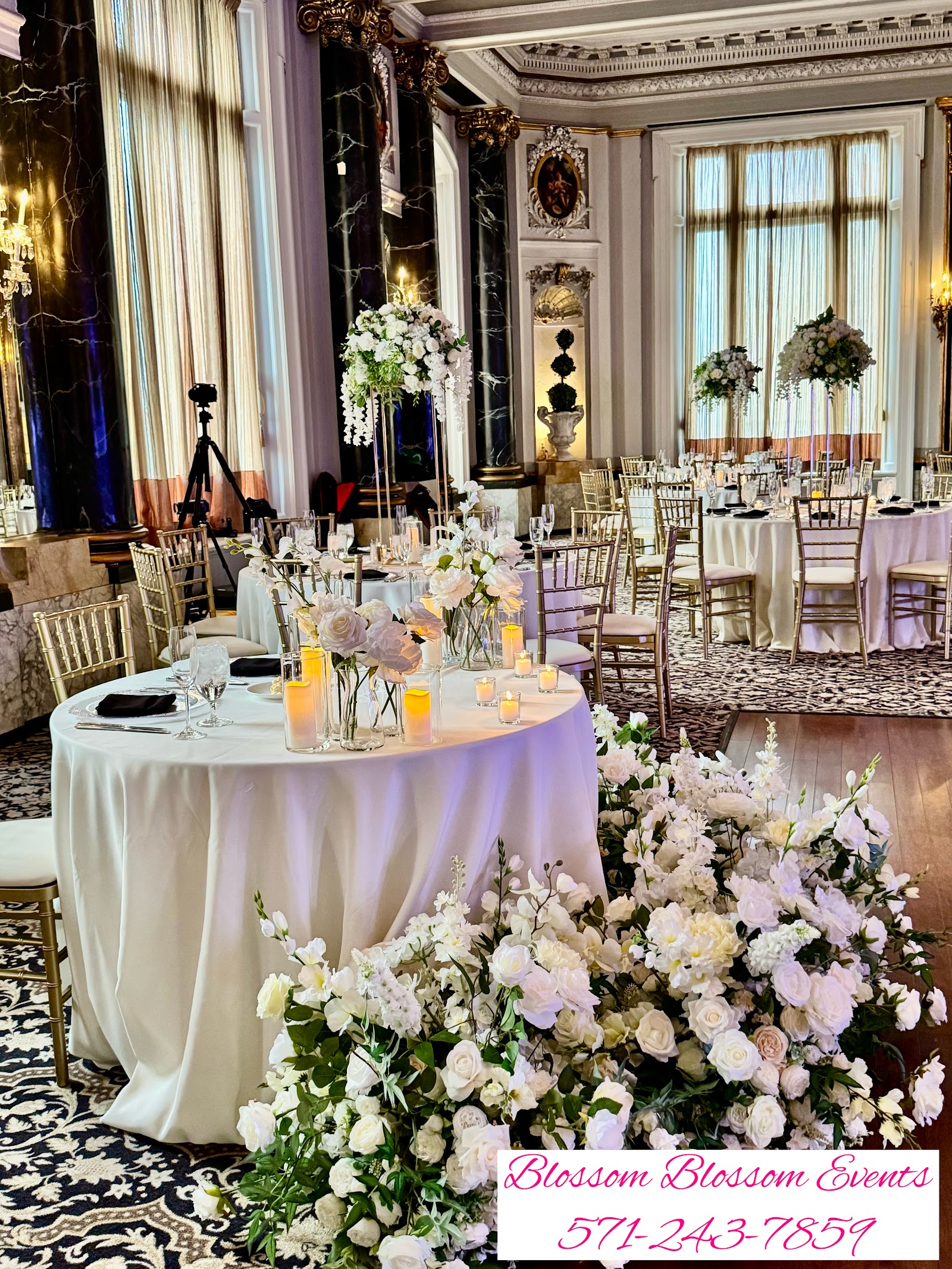 Belvedere & Co. Events