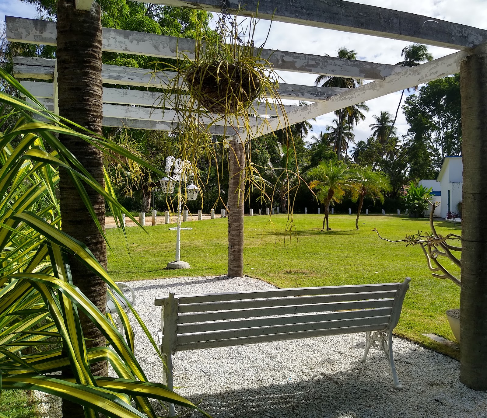Solar Pond site