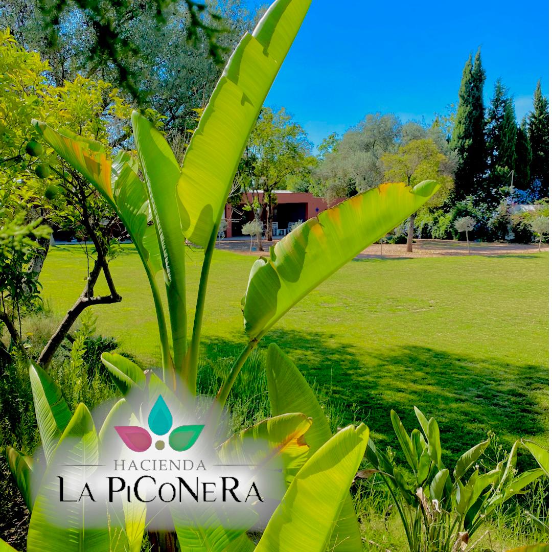 Hacienda La Piconera