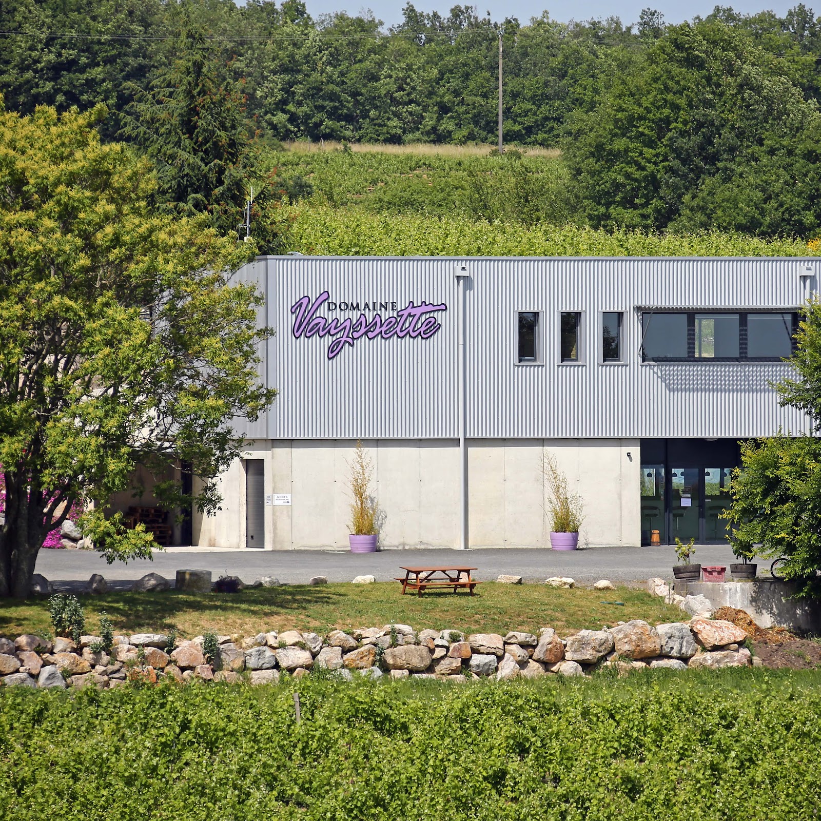 DOMAINE VAYSSETTE