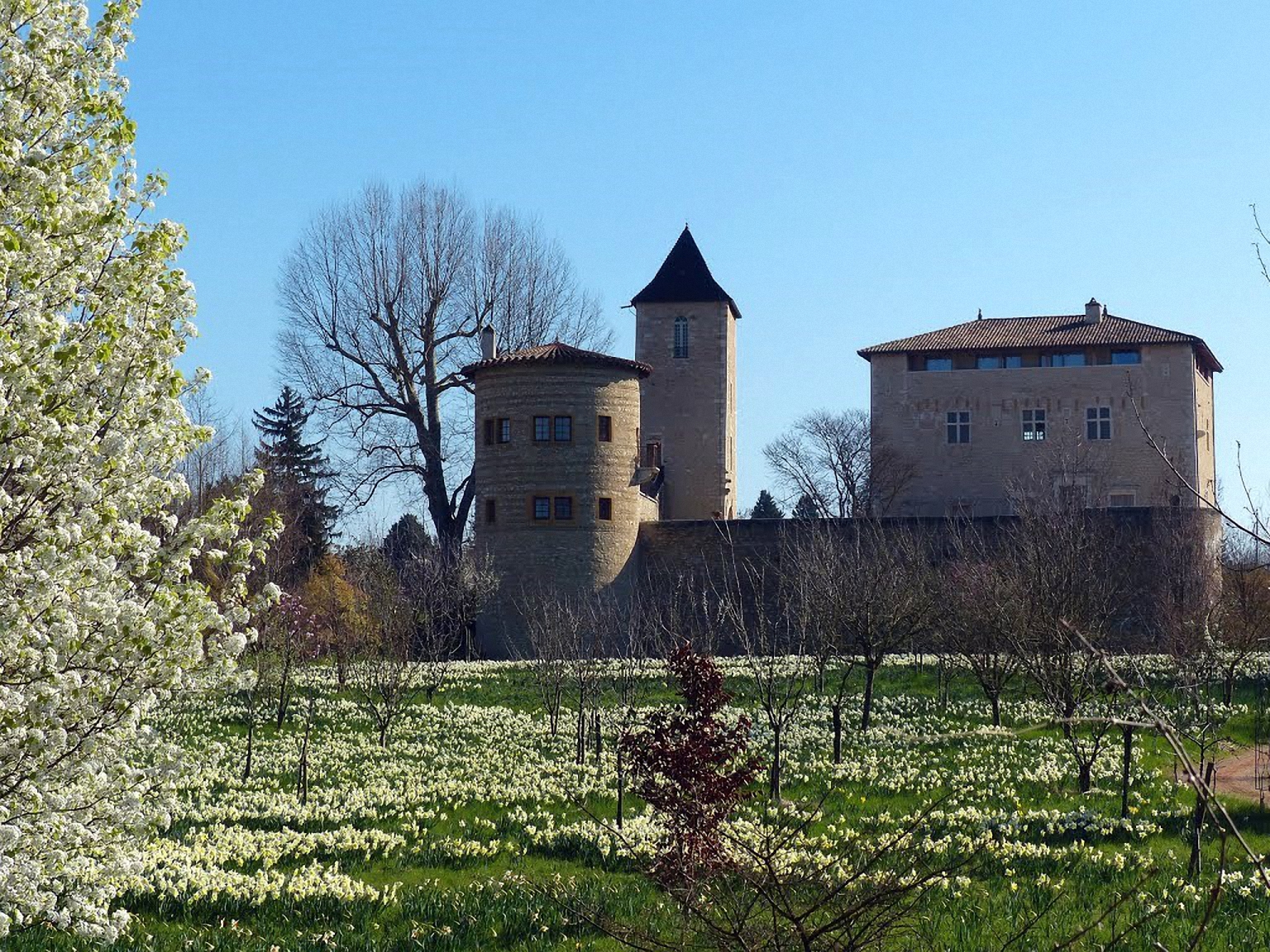 Château de Saint Bernard