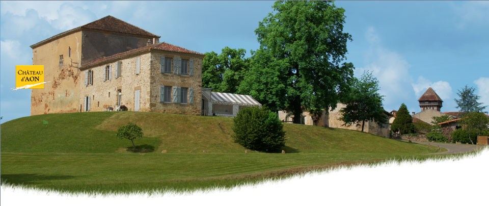 Château d'Aon, tempat pernikahan, Aquitaine Baru