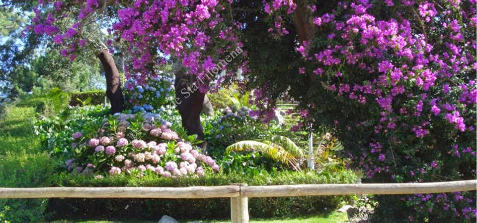 Casal De St Filomena - Quinta, قاعات أعراس, منطقة لشبونة