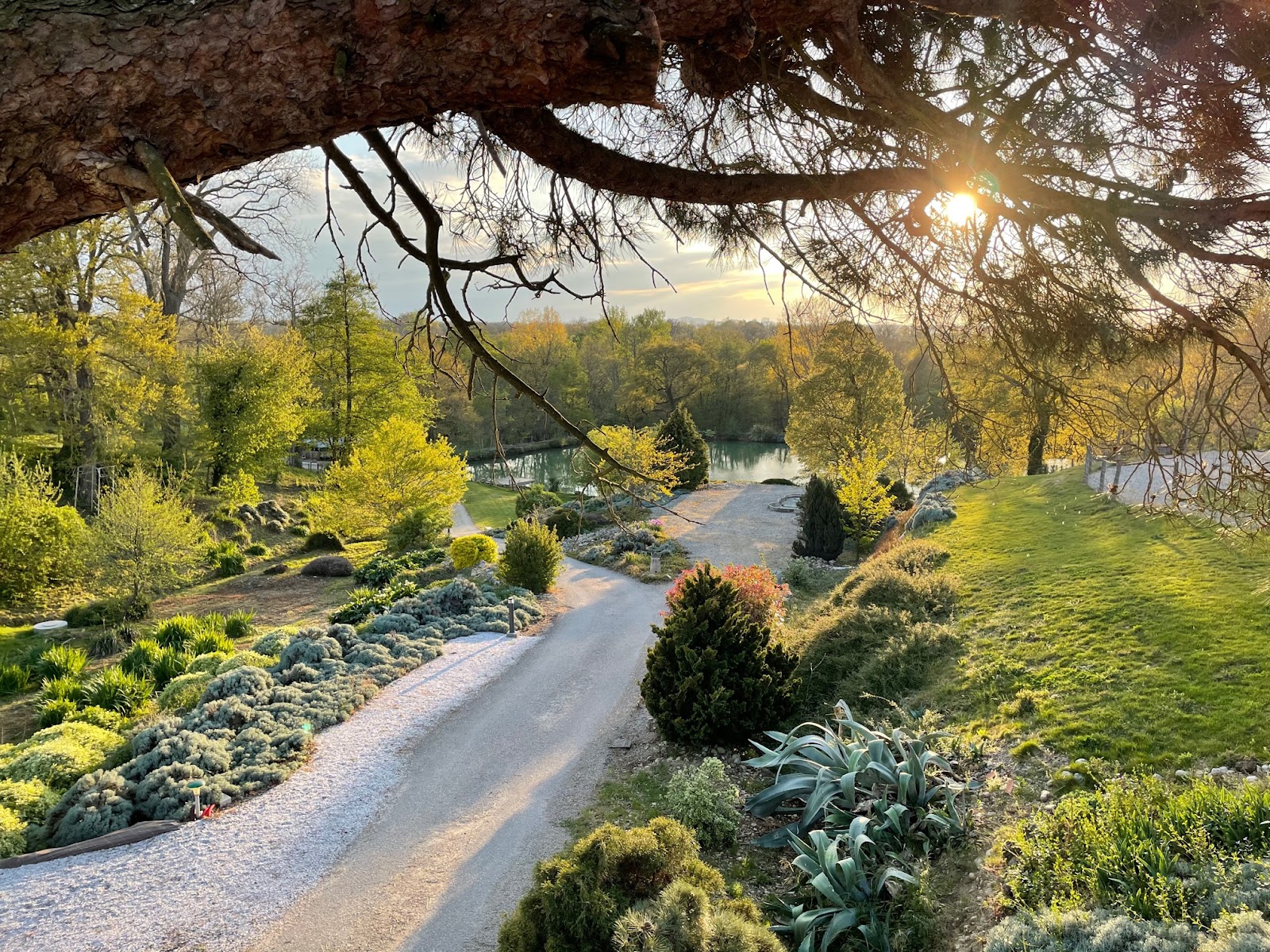 Domaine du Pigné