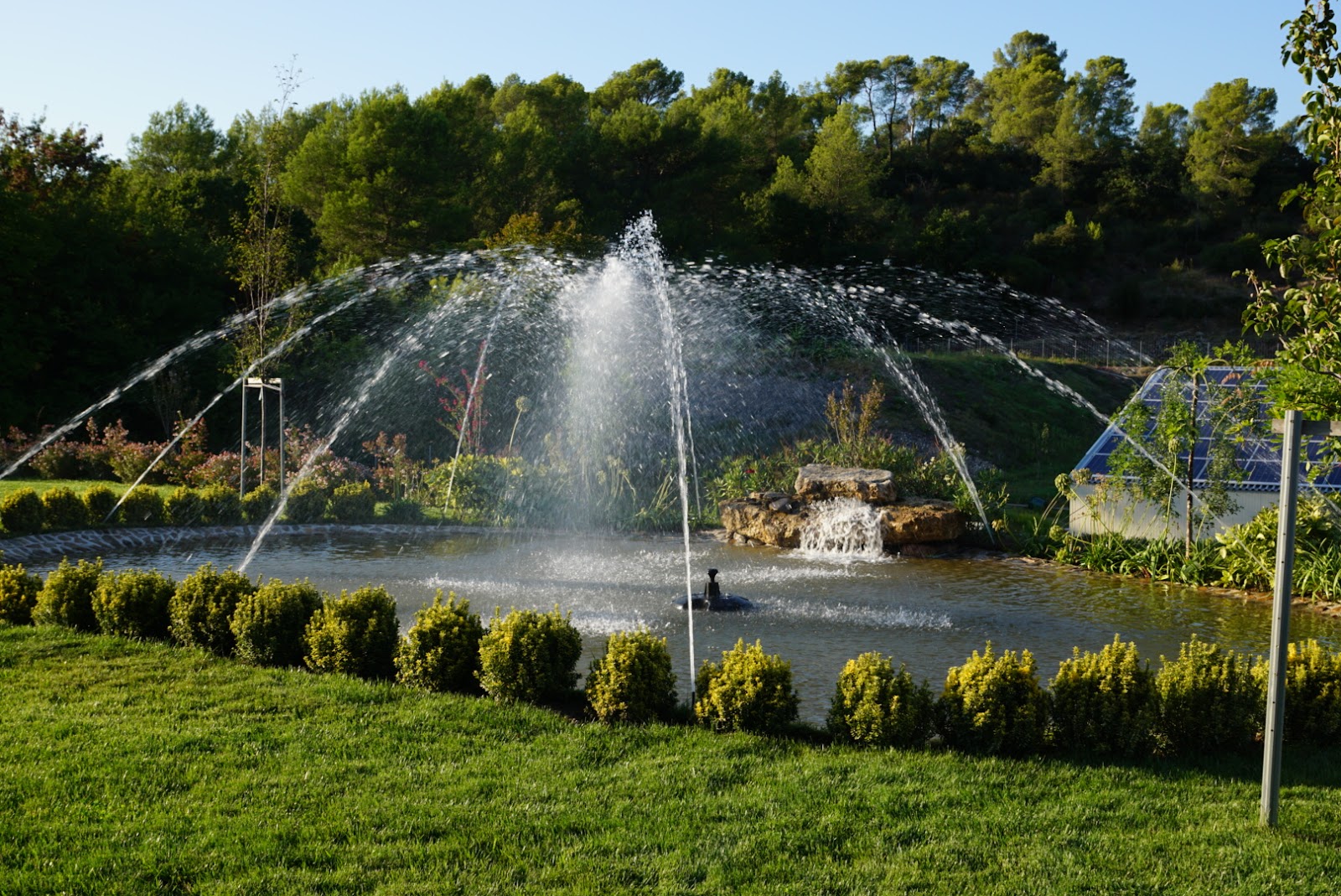 DOMAINE DES 1001 ROSES