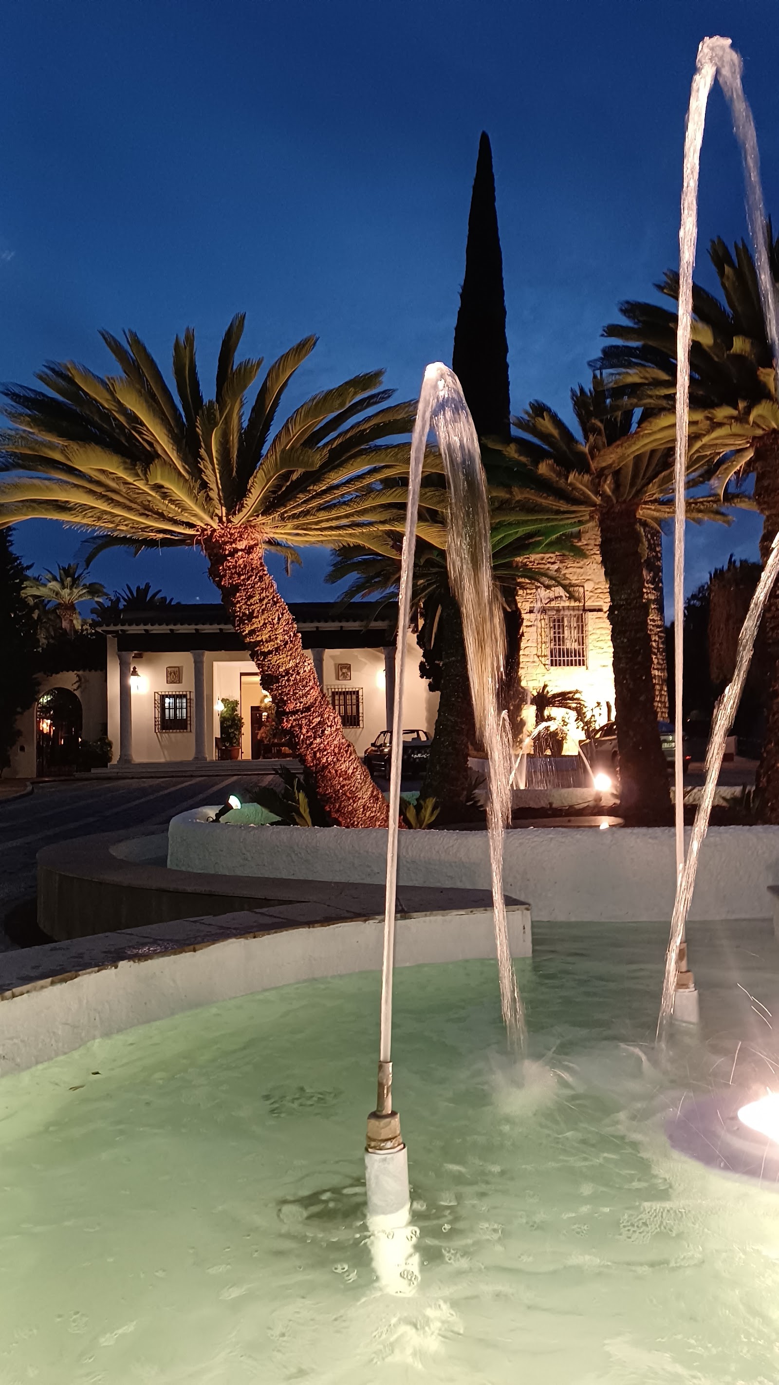PALMERAS DEL BRILLANTE