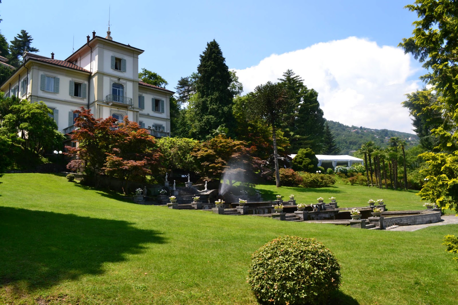 Villa Muggia, قاعات أعراس, بيمونتي