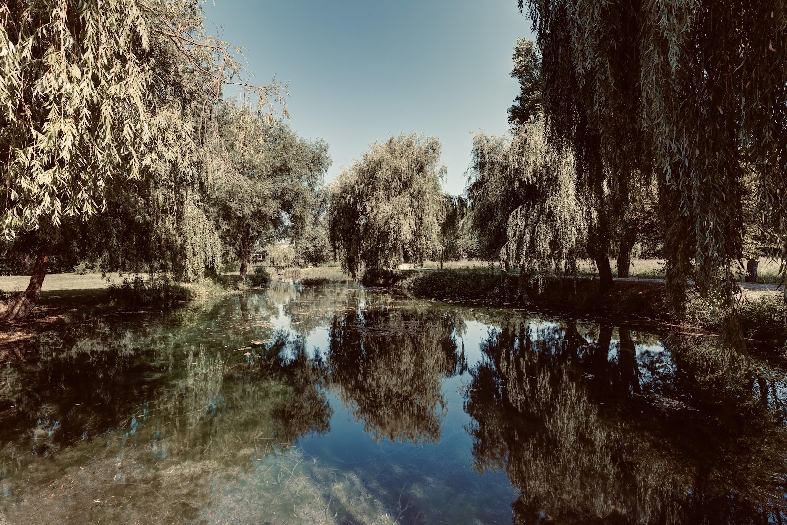 Domaine Du Grand Lauron : entre Avignon et Aix en Provence (Parc régional du Lubéron Vaucluse), wedding venues, Provence