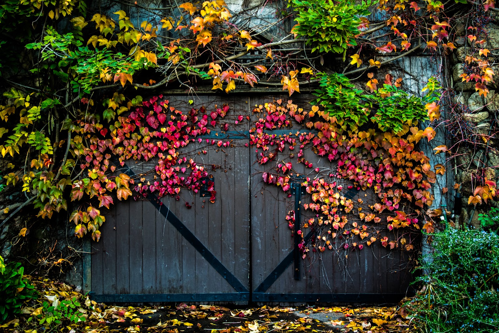 Hans Fahden Vineyards, قاعات أعراس, كاليفورنيا