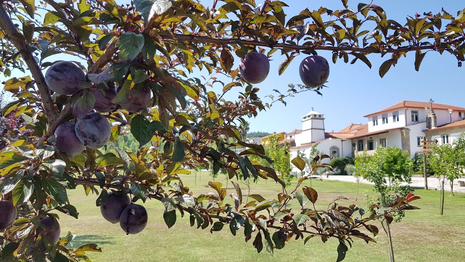 Solar de Maceira