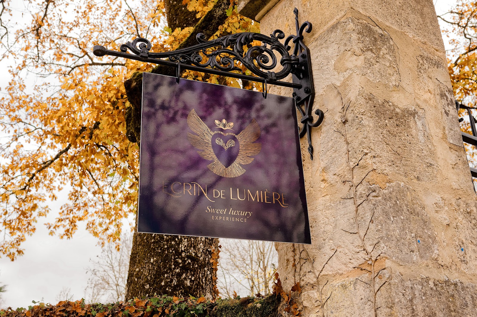 Château Écrin De Lumière