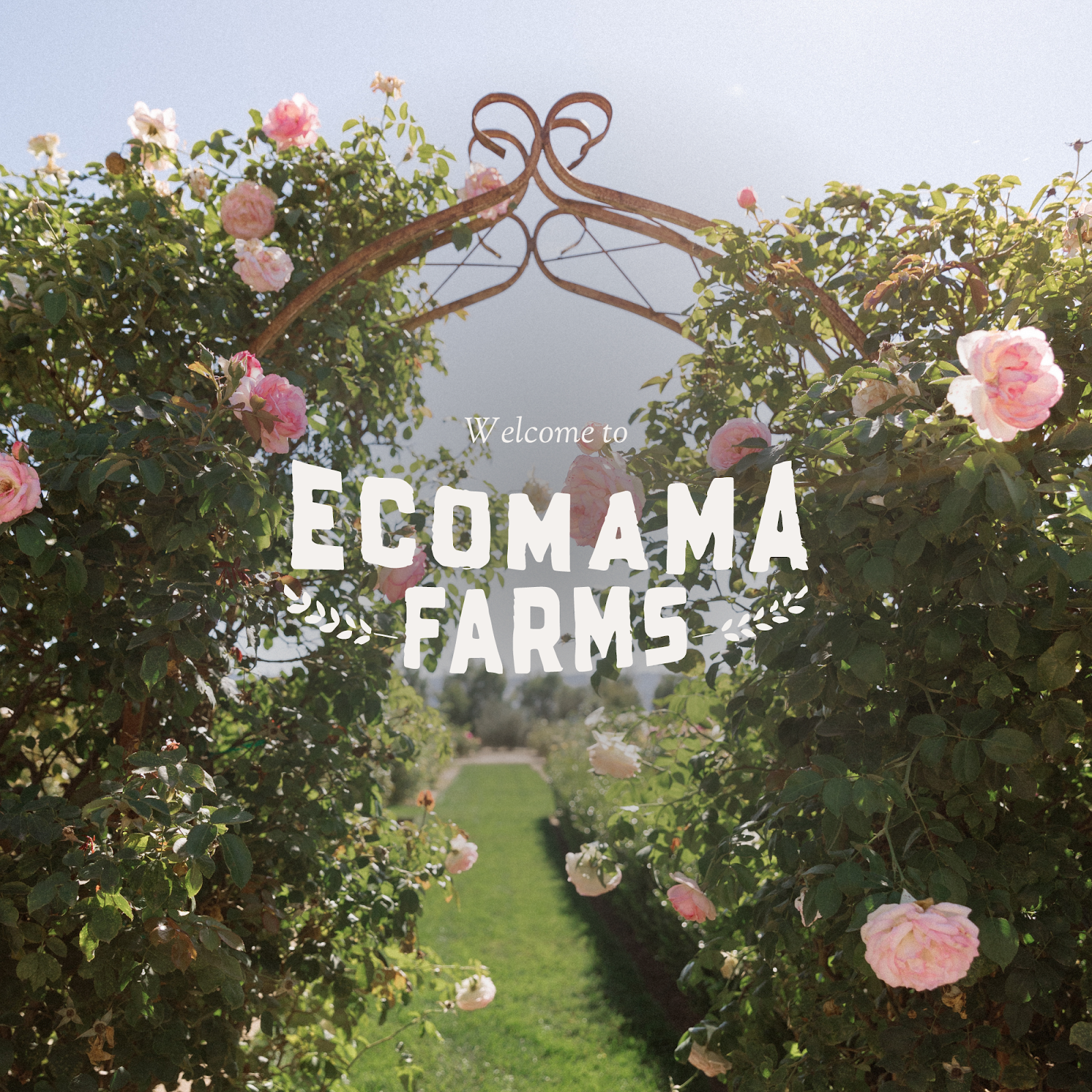 Ecomama Farms, قاعات أعراس, كاليفورنيا