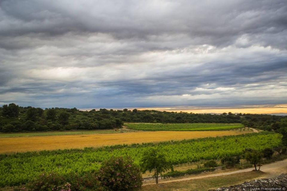 Domaine De Sulauze, Earl Guillaume Lefèvre, location matrimonio, Provenza