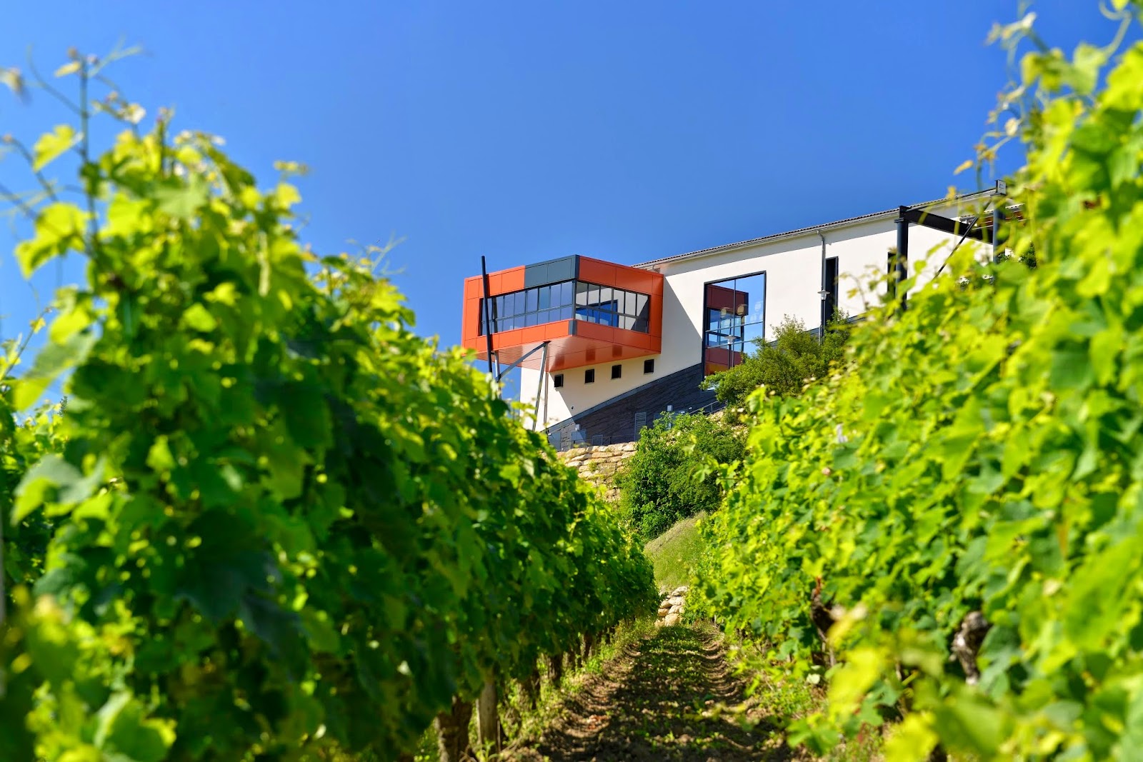 Château Croizille