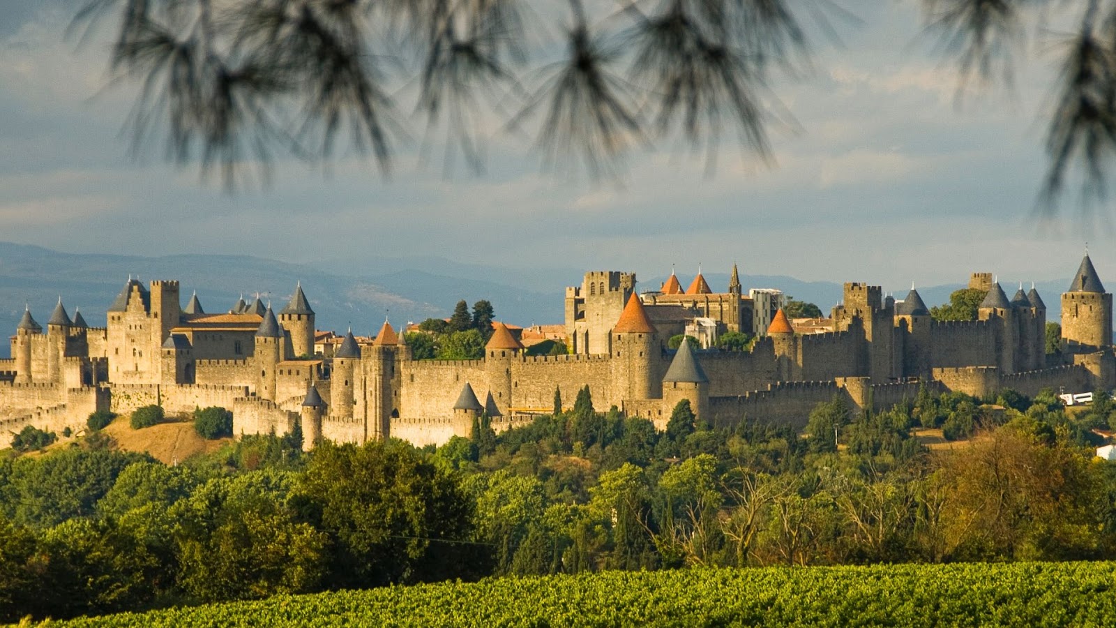 Le Meez Hotel - Restaurant - Carcassonne