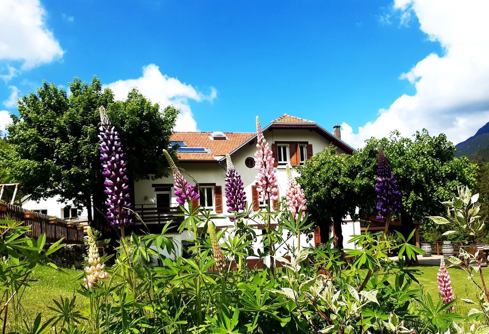 L'essentiel, tempat pernikahan, Auvergne-Rhône-Alpes