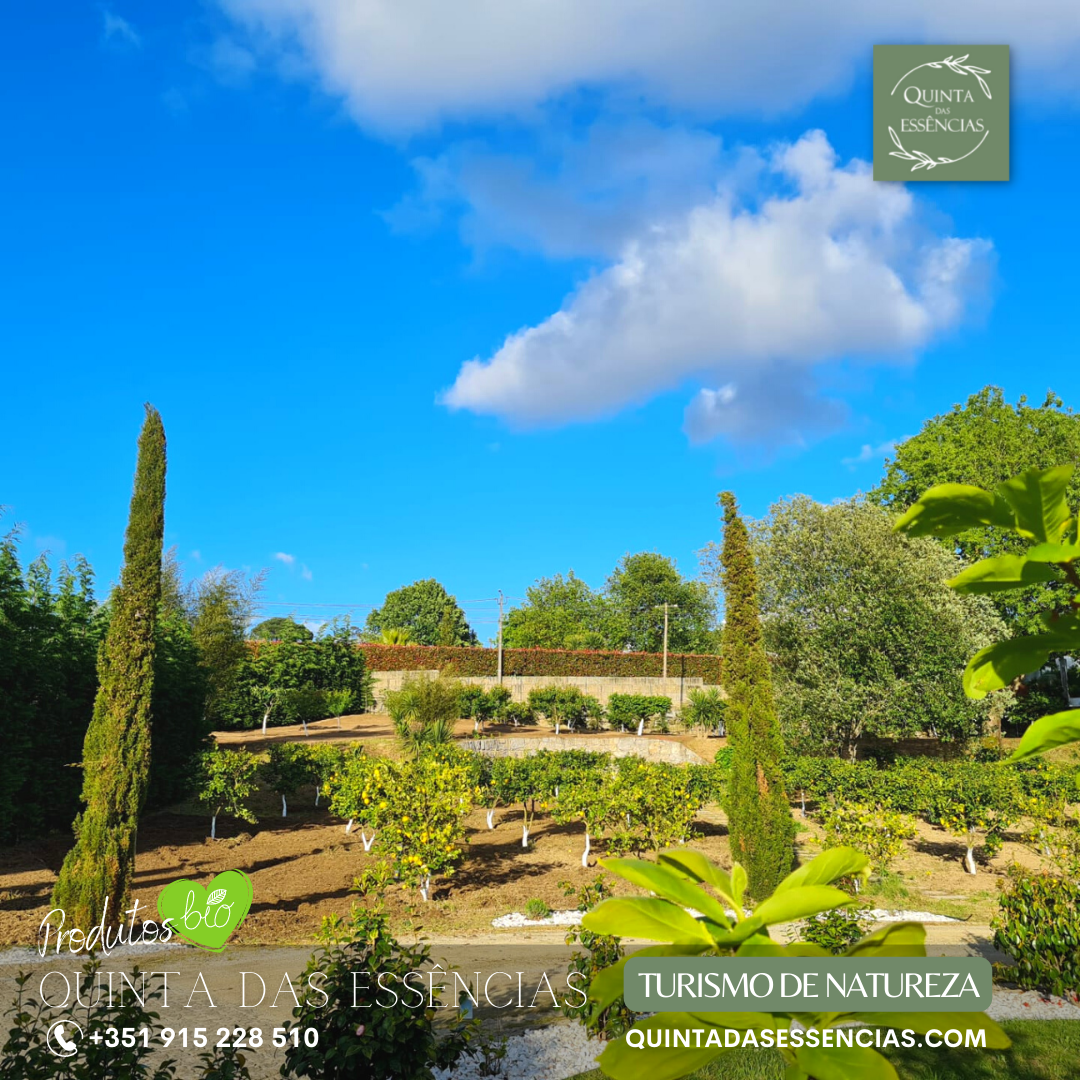 Quinta das Essências, tempat pernikahan, Norte
