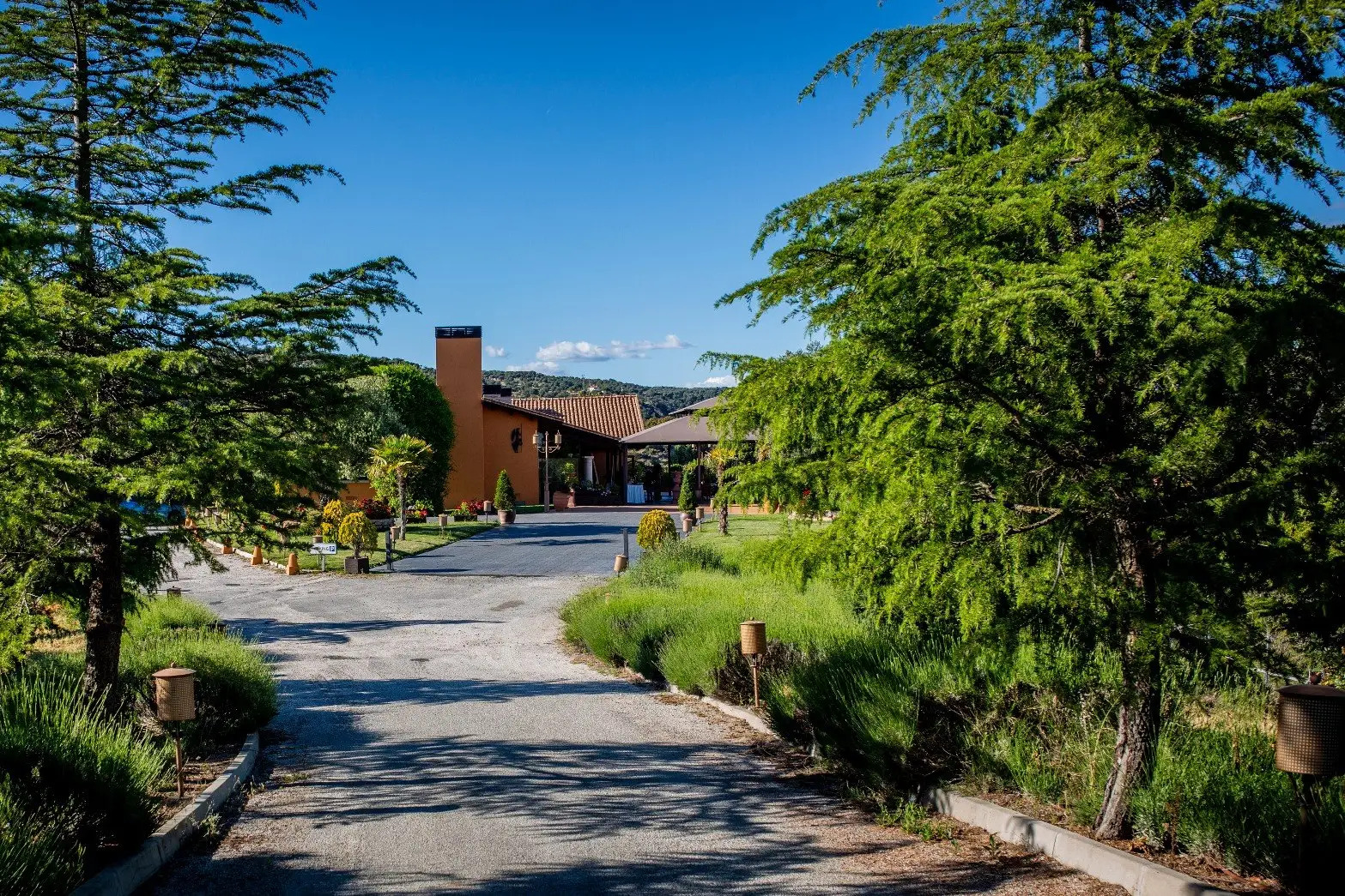 Finca Valquijancho de Araceli