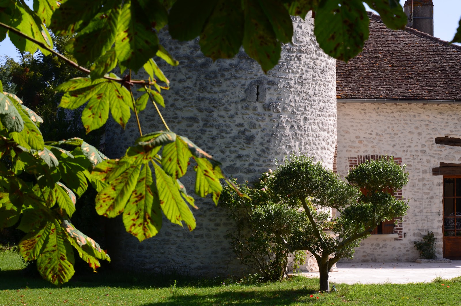 Domaine du Vieux Donjon, tempat pernikahan, Lembah Loire