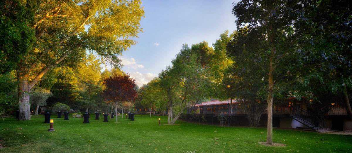 Garden Botero