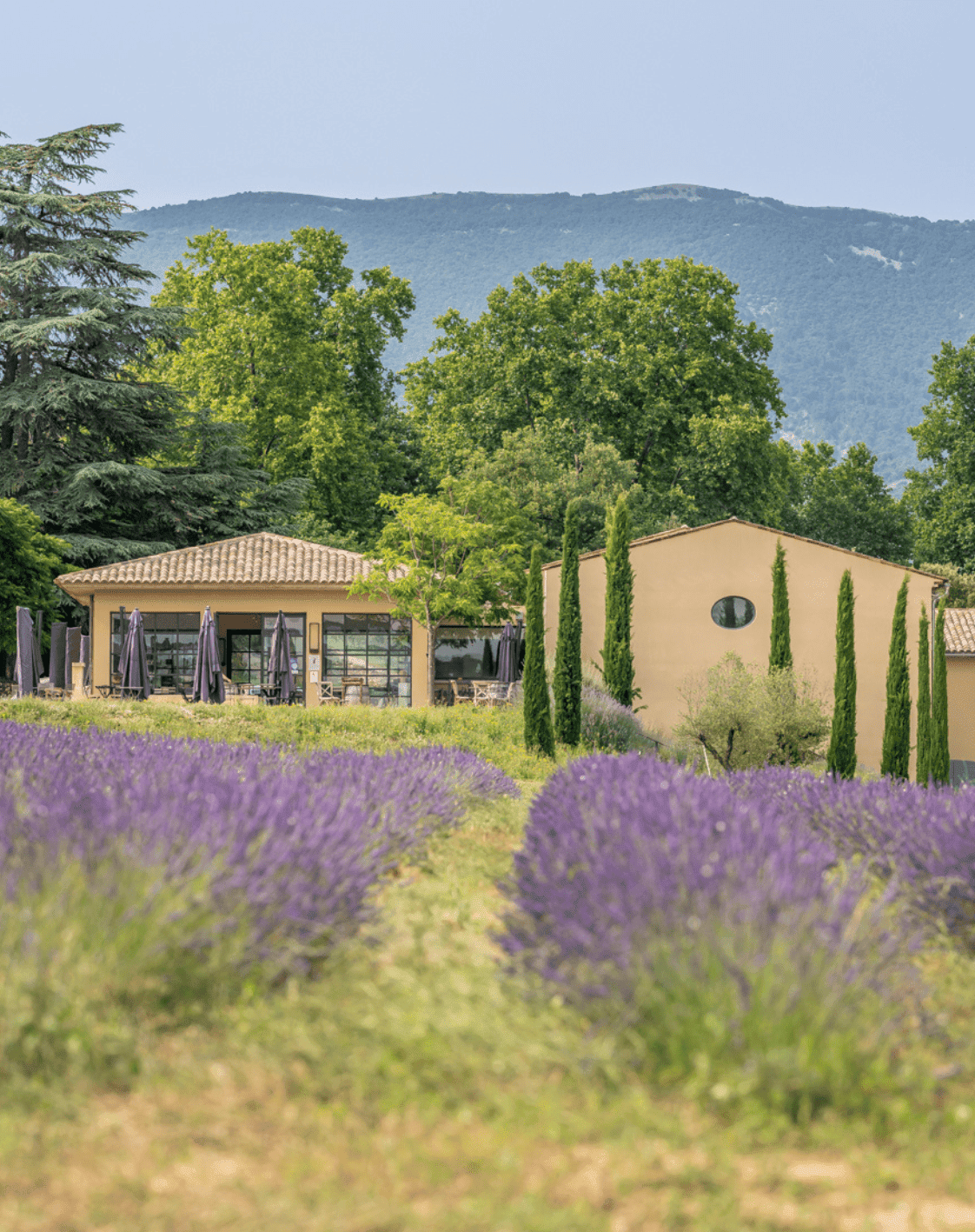 Vineyard Du Château De Sannes, χώροι γάμου, Προβηγκία