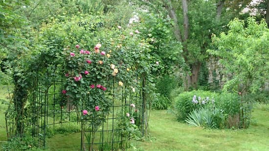 Jardin Terre de Vert - Location jardin, escape game, ateliers et animations, wedding venues, Île-de-France