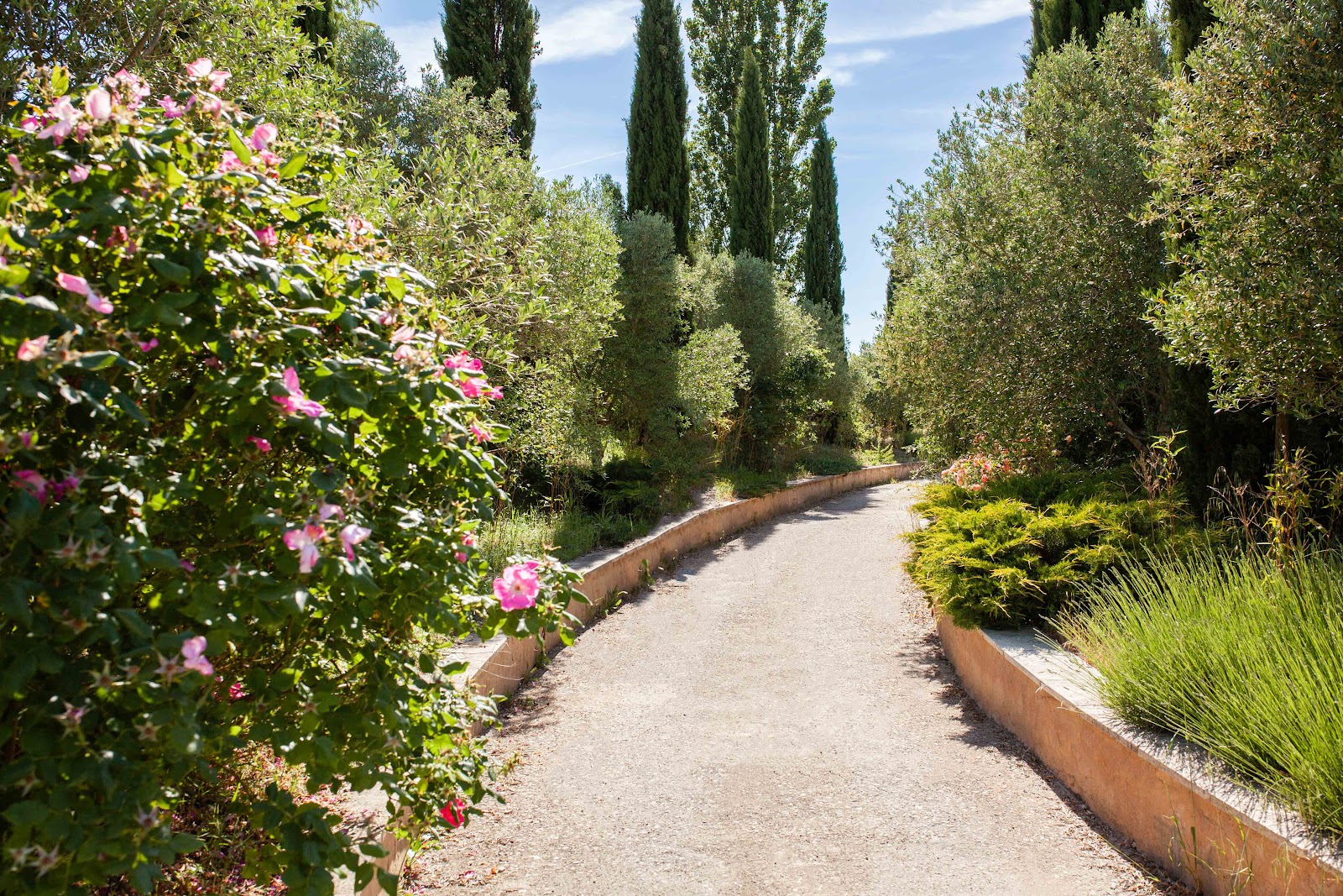 Domaine de la Myrtille, tempat pernikahan, Provence