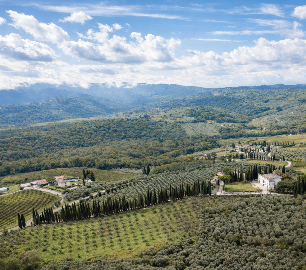 Tenuta San Jacopo In Castiglioni Srl - Winery