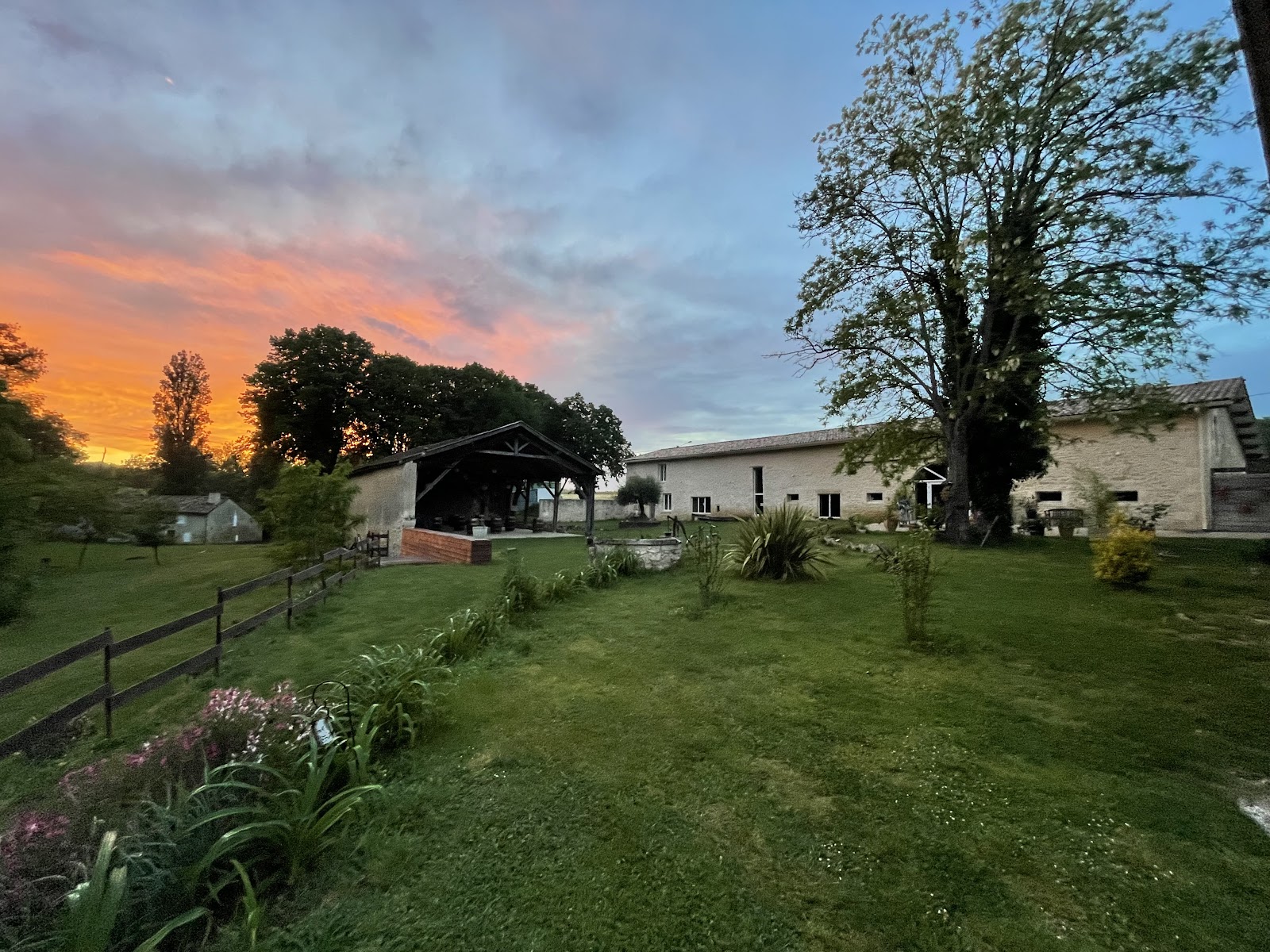 DOMAINE D'ARBIS